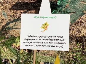giardino della Donazione