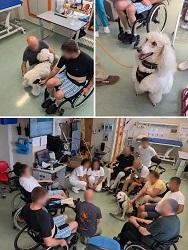 Pet Therapy