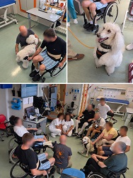 Pet Therapy