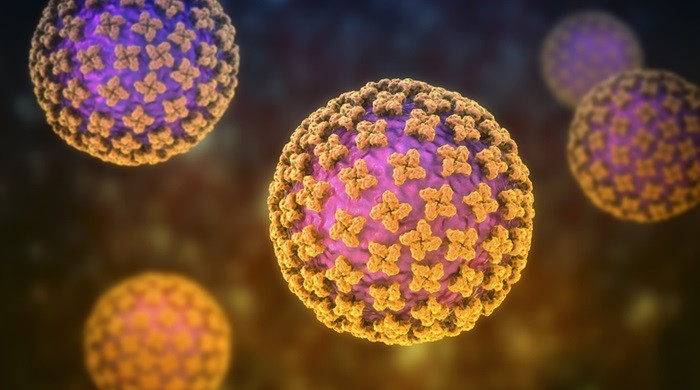 Hantavirus - aggiornamento ECDC e Ministero della Salute